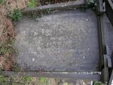 image number Newp SM 105